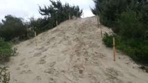 Tratto a piedi sulla spiaggia di Gallipoli